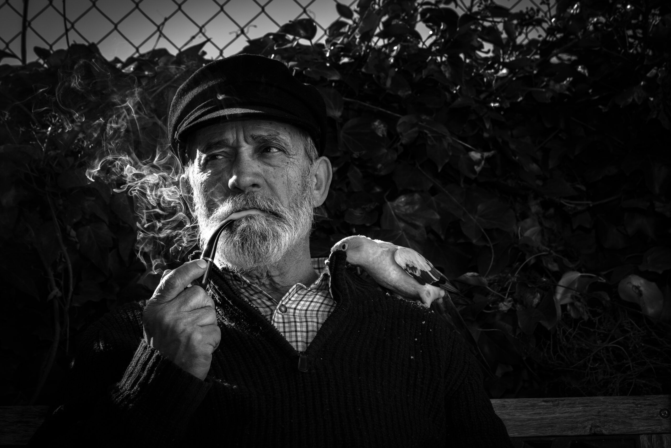 Retrato 6
